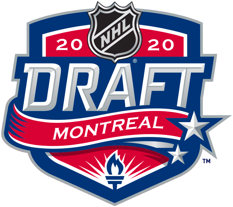 NHL Draft 2020 Unused Logo v3 DIY iron on transfer (heat transfer)
